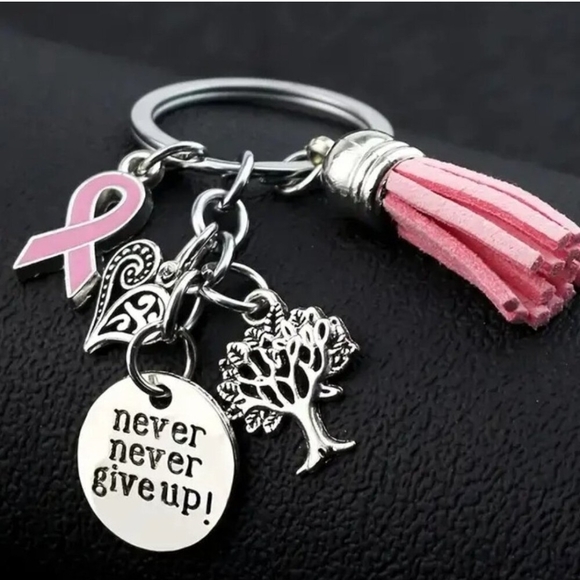 Silver and Pink Charm Keychain - Picture 2 of 5
